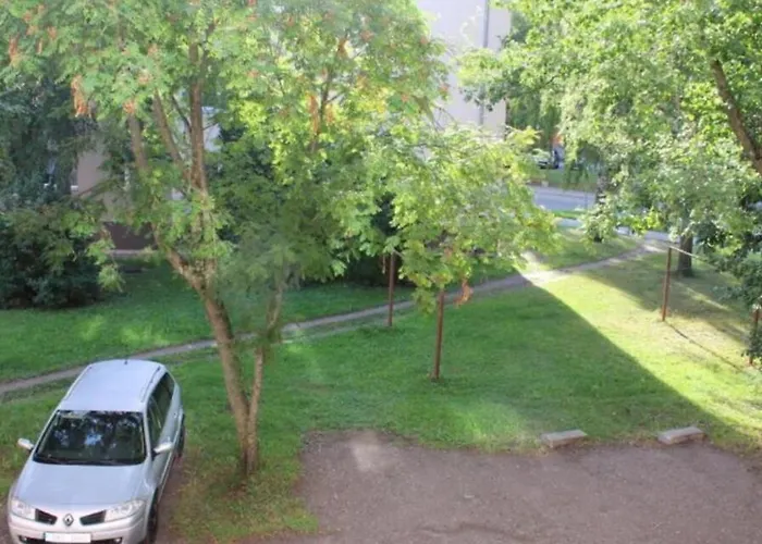 Pelguranna タリン